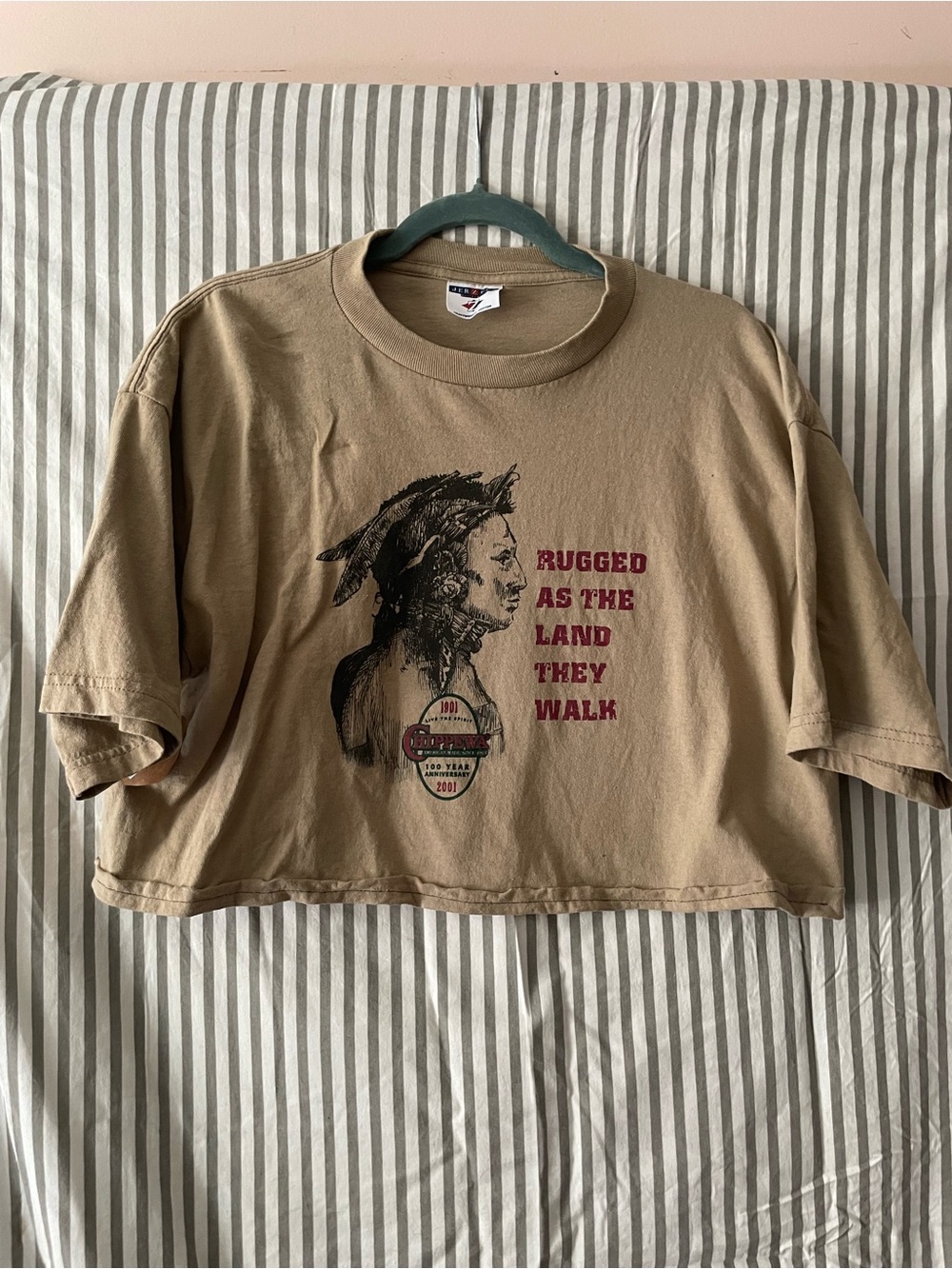 Chippewa Crop Top